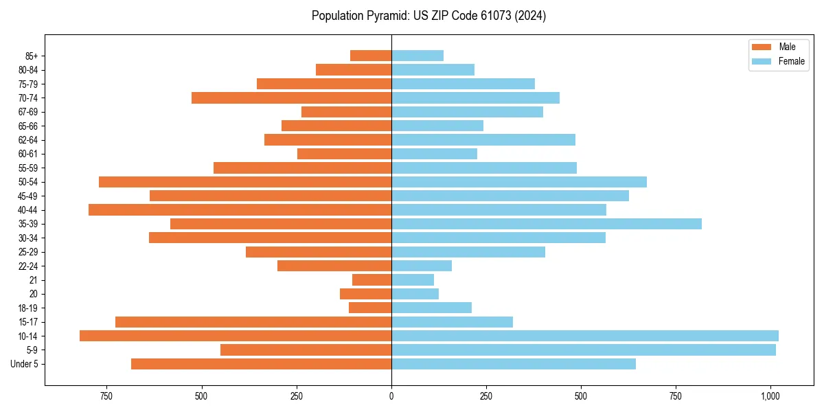 Population pyramid for 
