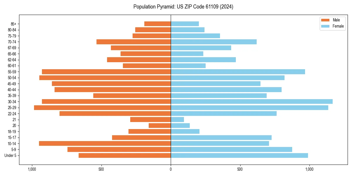 Population pyramid for 