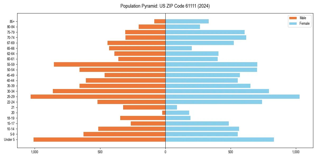 Population pyramid for 
