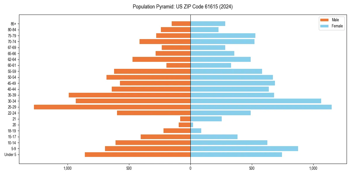 Population pyramid for 