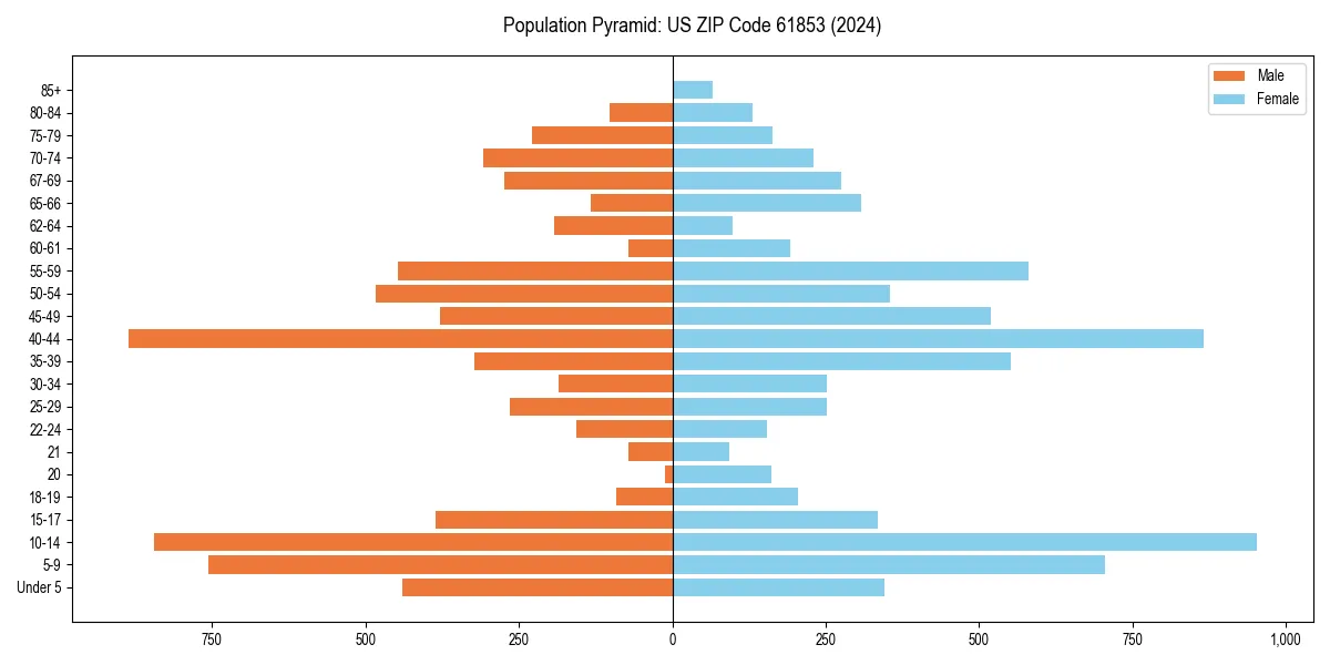 Population pyramid for 