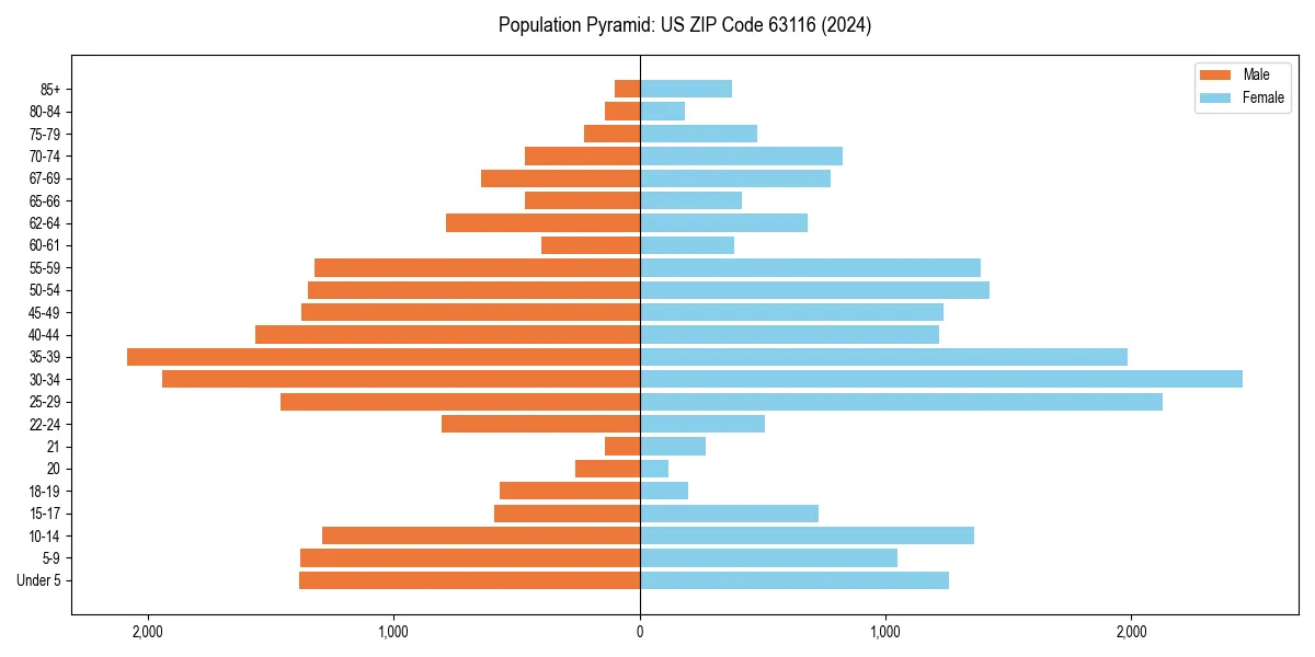 Population pyramid for 