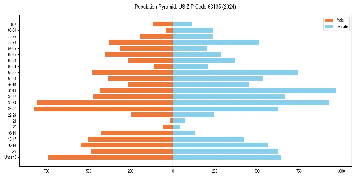 Population pyramid for 