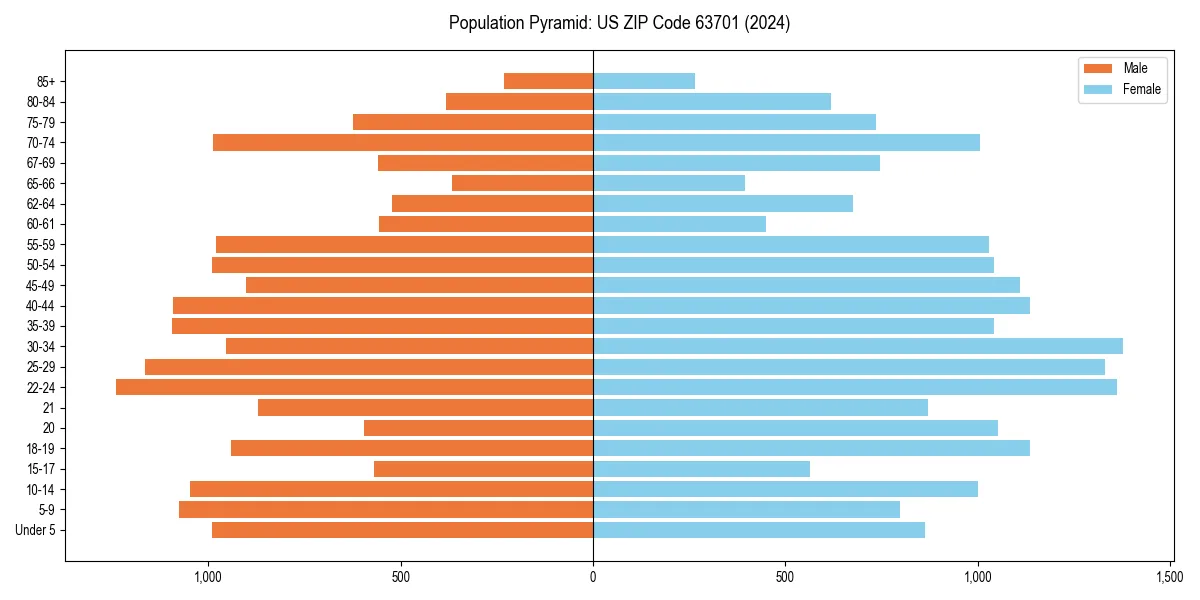 Population pyramid for 