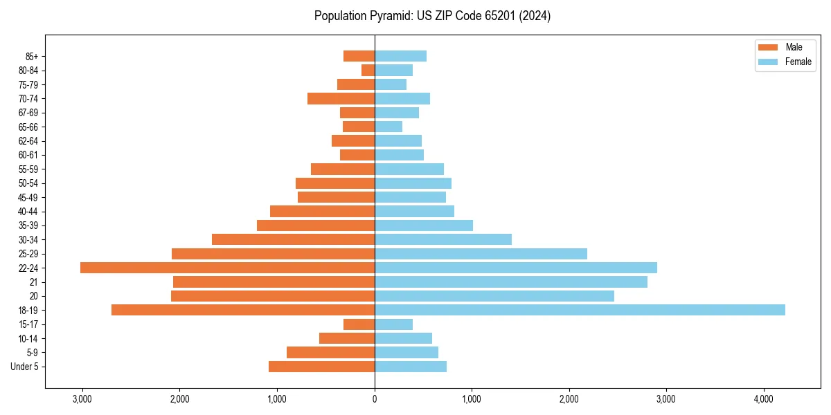 Population pyramid for 