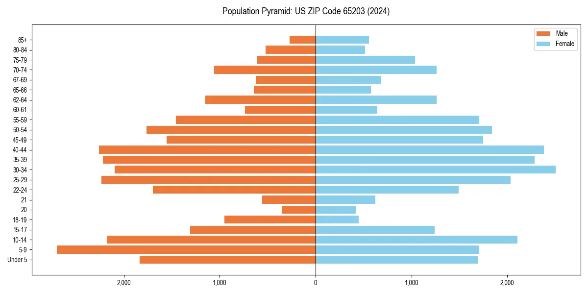 Population pyramid for 