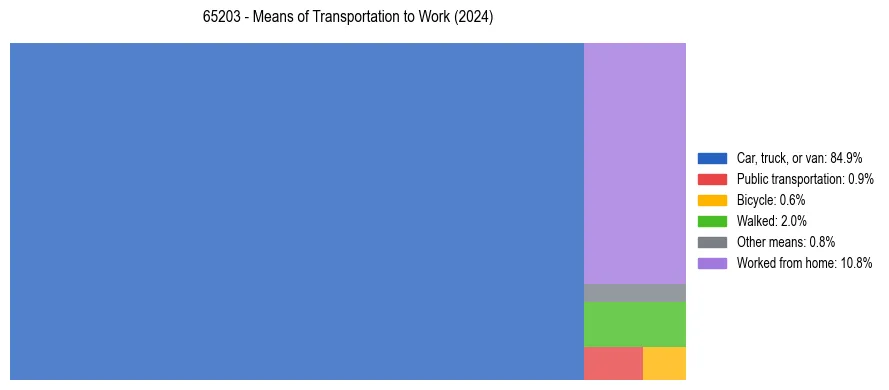 Commute modes in US ZIP Code 65203