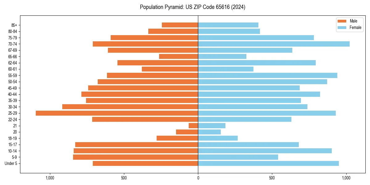 Population pyramid for 