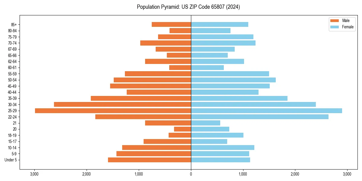 Population pyramid for 