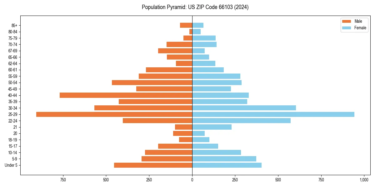 Population pyramid for 