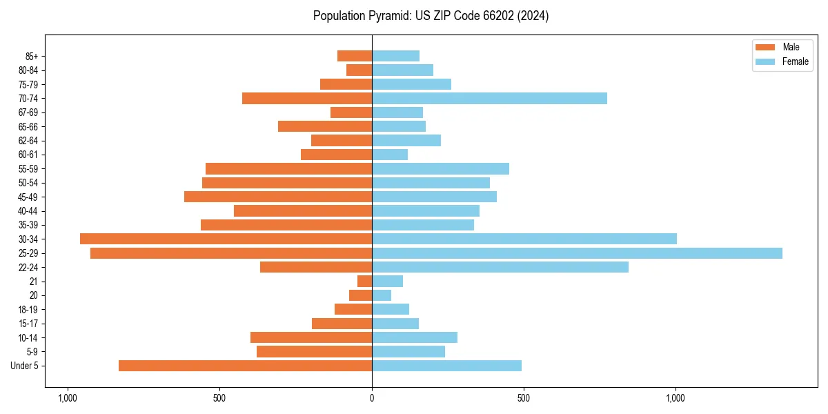 Population pyramid for 