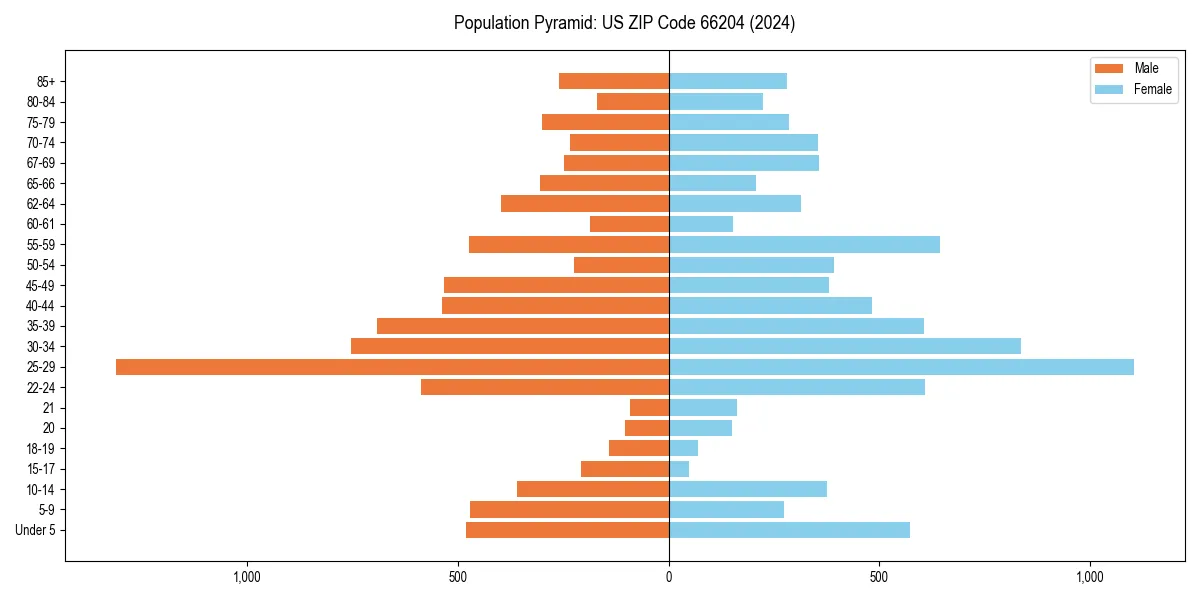 Population pyramid for 