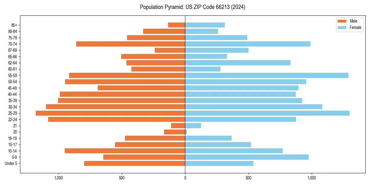 Population pyramid for 