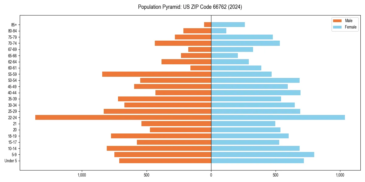 Population pyramid for 