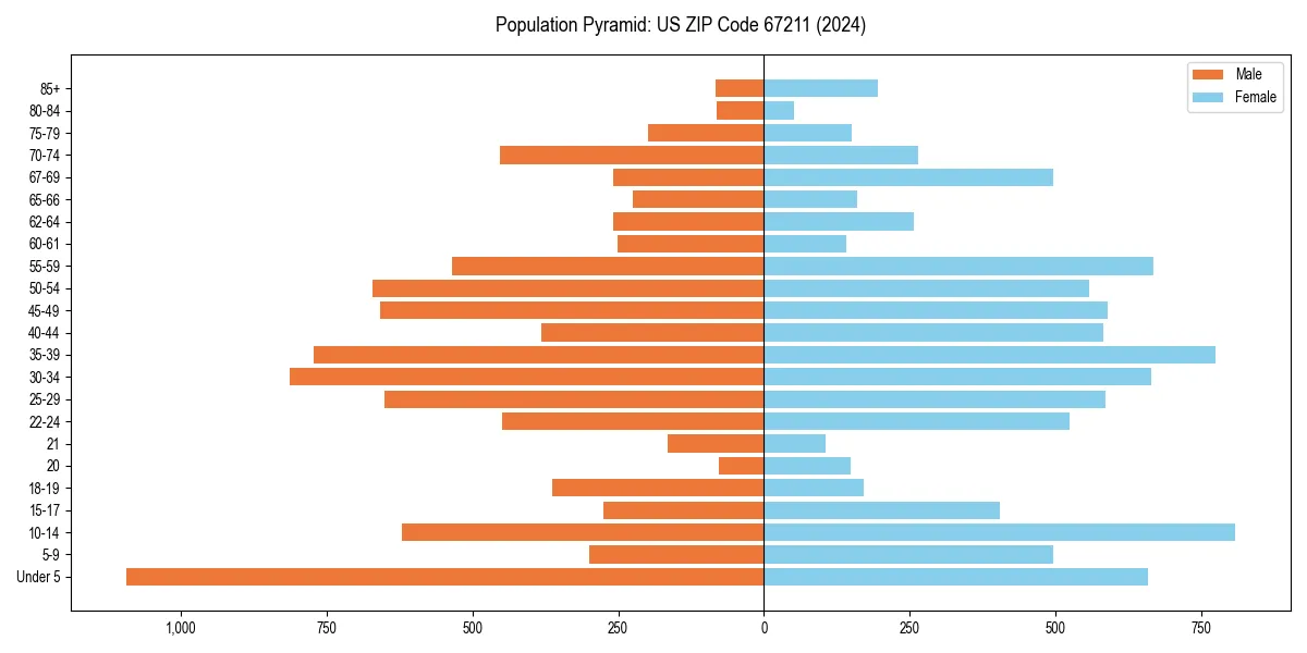 Population pyramid for 