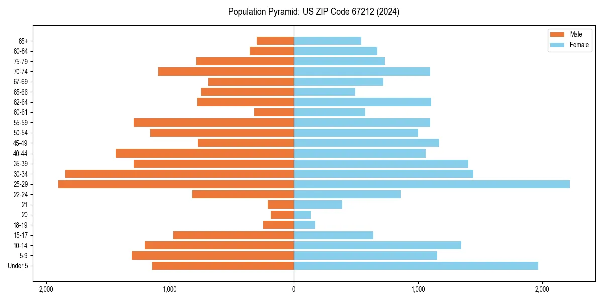 Population pyramid for 