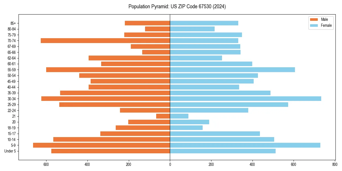 Population pyramid for 