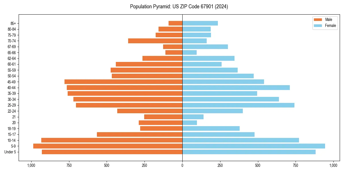 Population pyramid for 