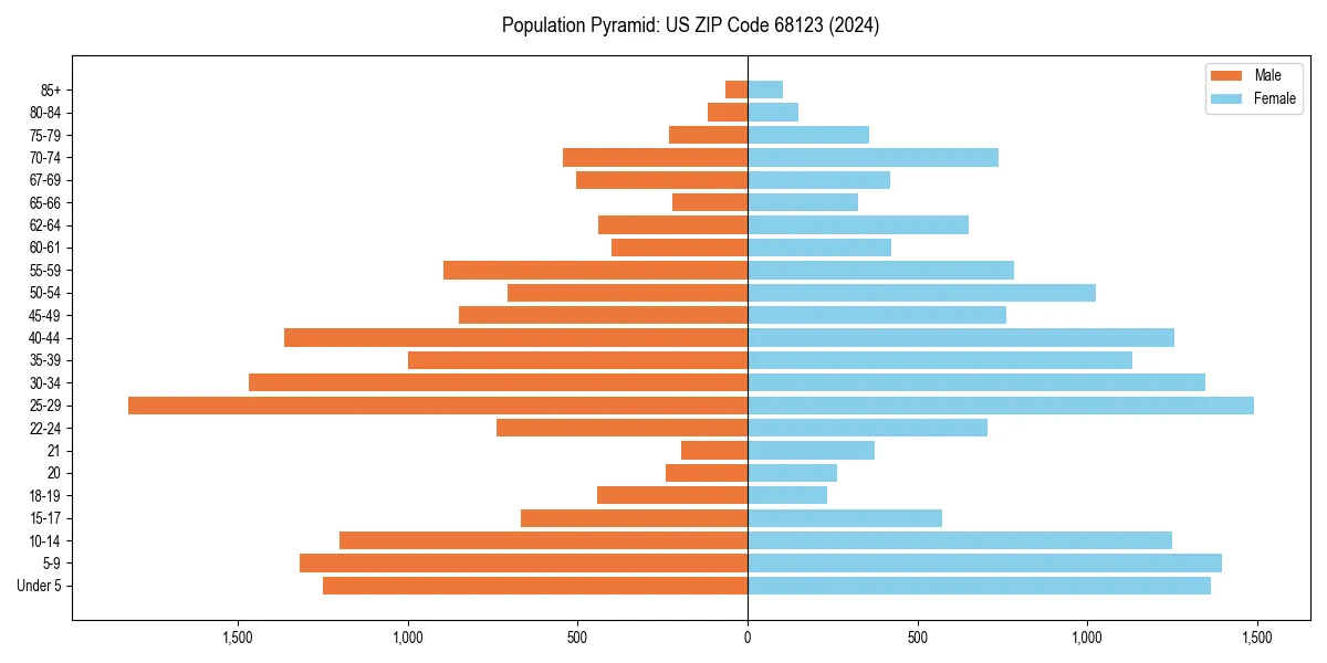 Population pyramid for 