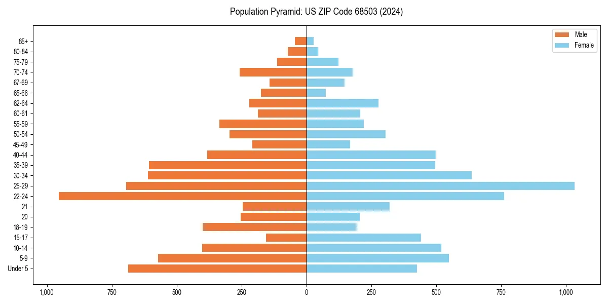 Population pyramid for 