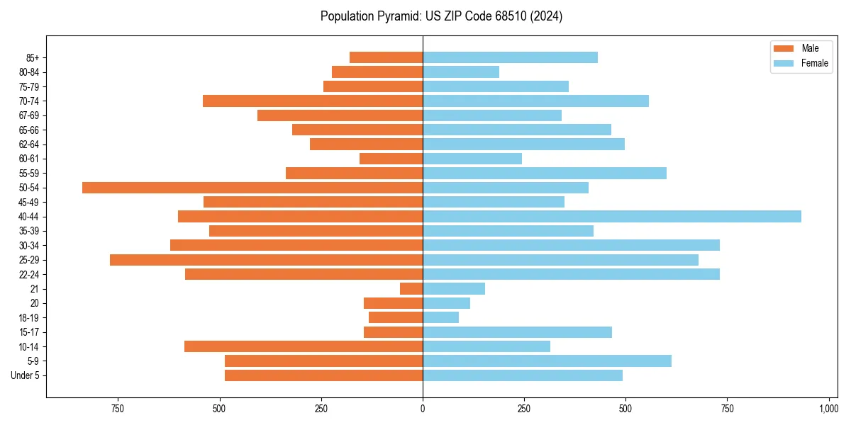 Population pyramid for 
