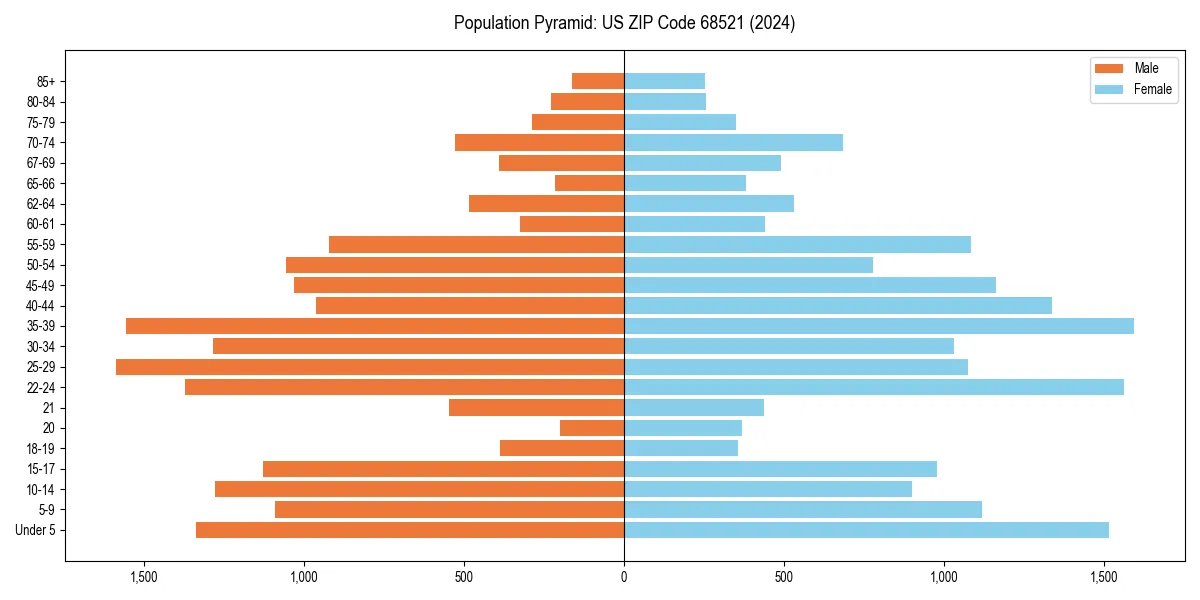 Population pyramid for 