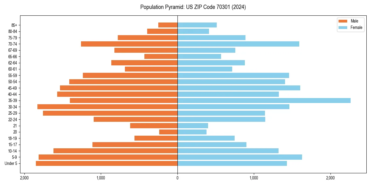 Population pyramid for 