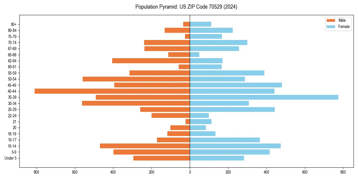 Population pyramid for 