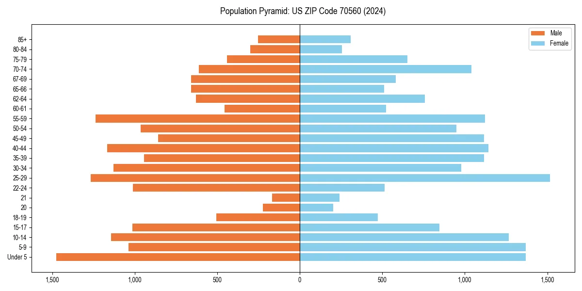 Population pyramid for 