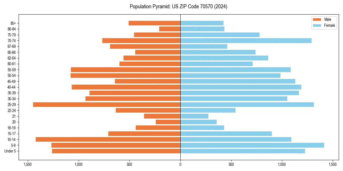 Population pyramid for 