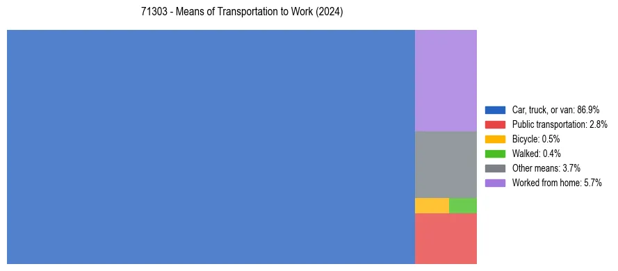 Commute modes in US ZIP Code 71303