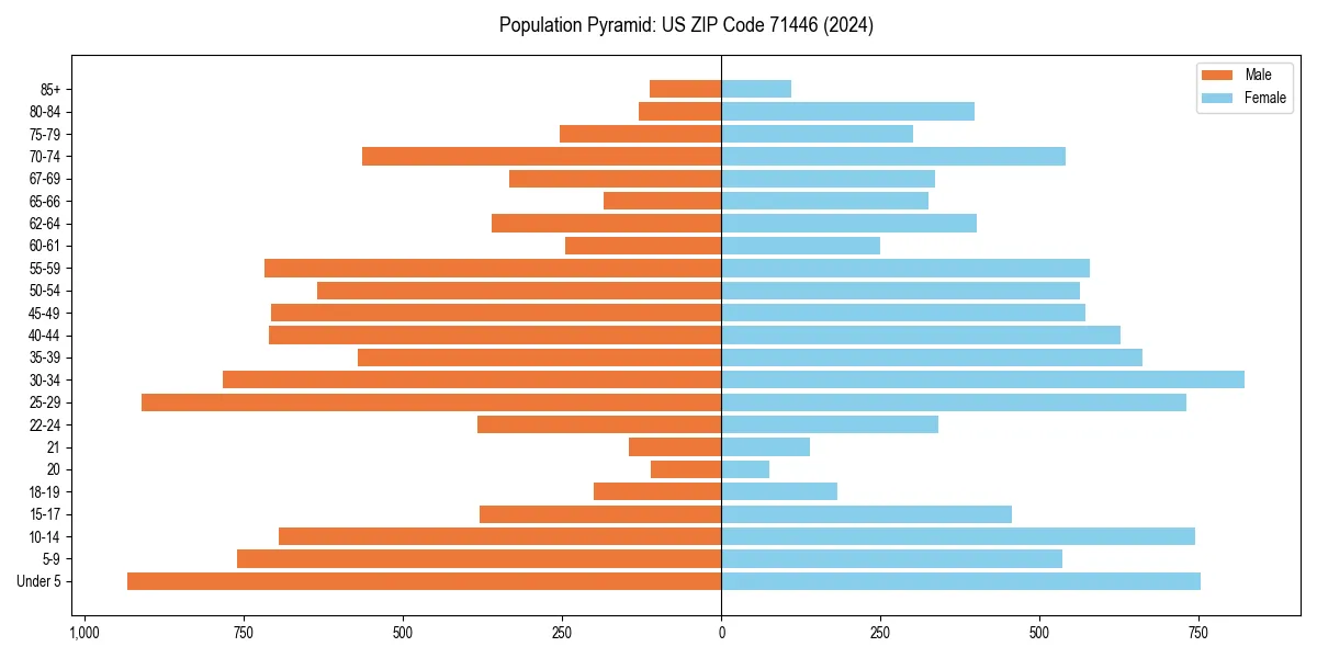 Population pyramid for 