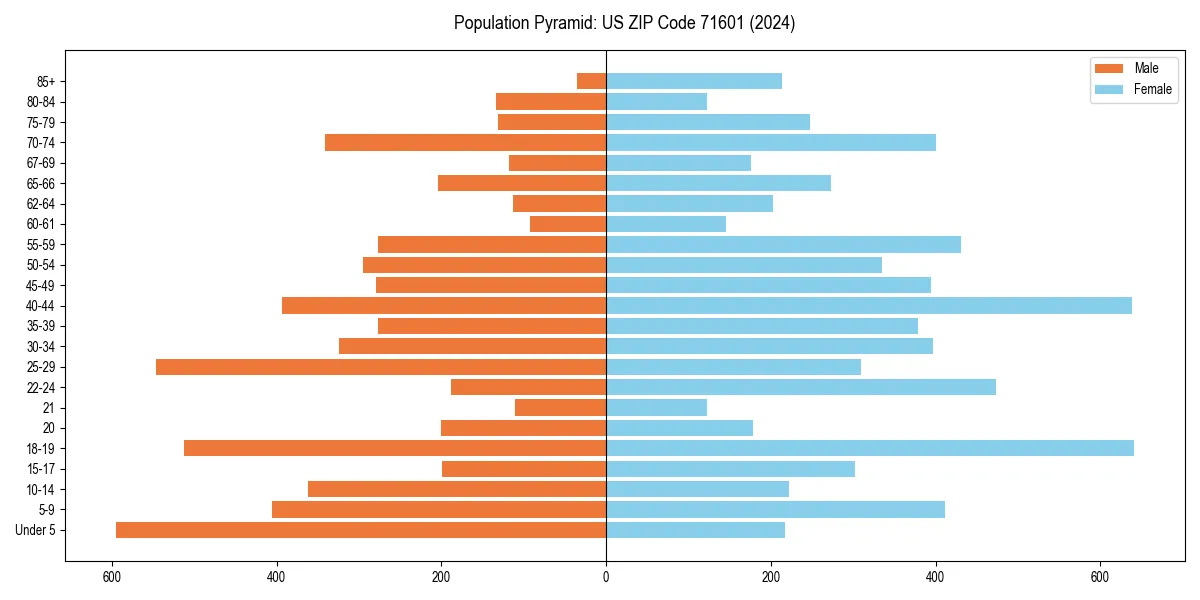 Population pyramid for 