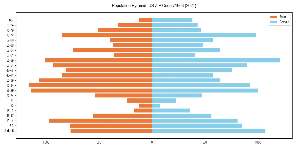 Population pyramid for 
