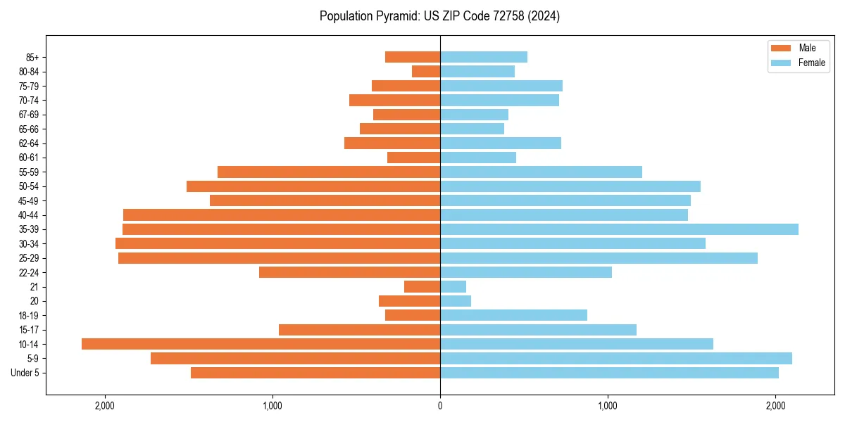 Population pyramid for 