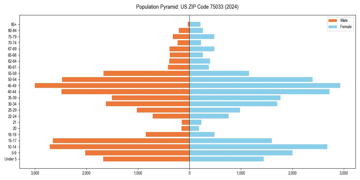 Population pyramid for 