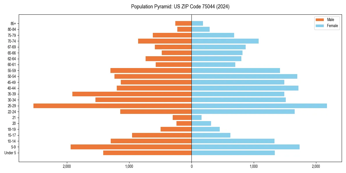 Population pyramid for 