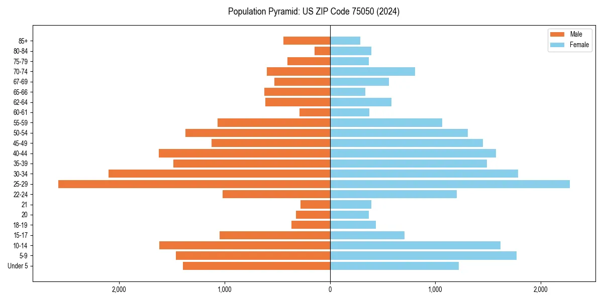 Population pyramid for 