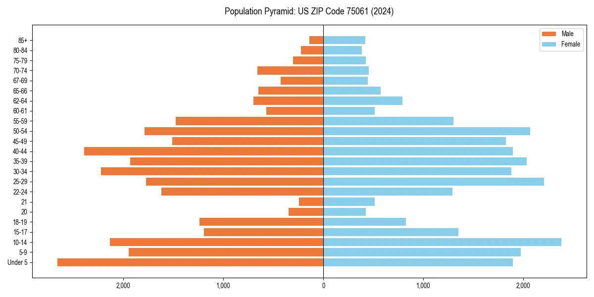 Population pyramid for 