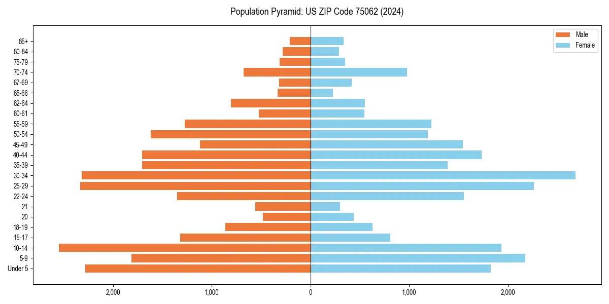 Population pyramid for 