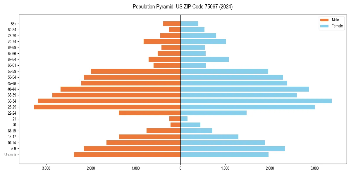 Population pyramid for 