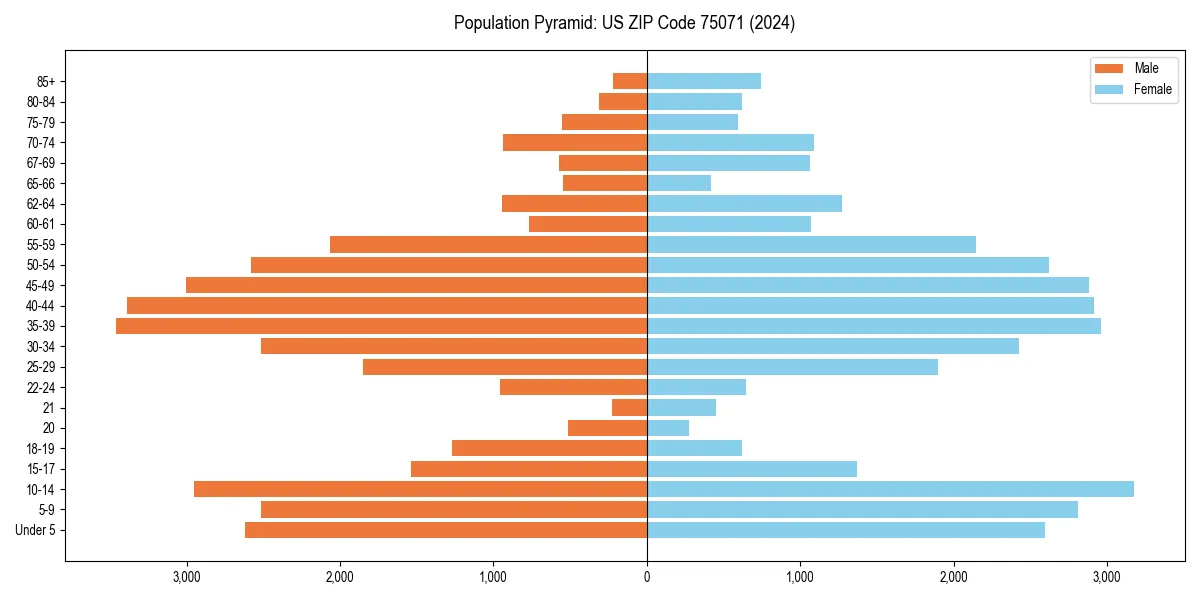 Population pyramid for 