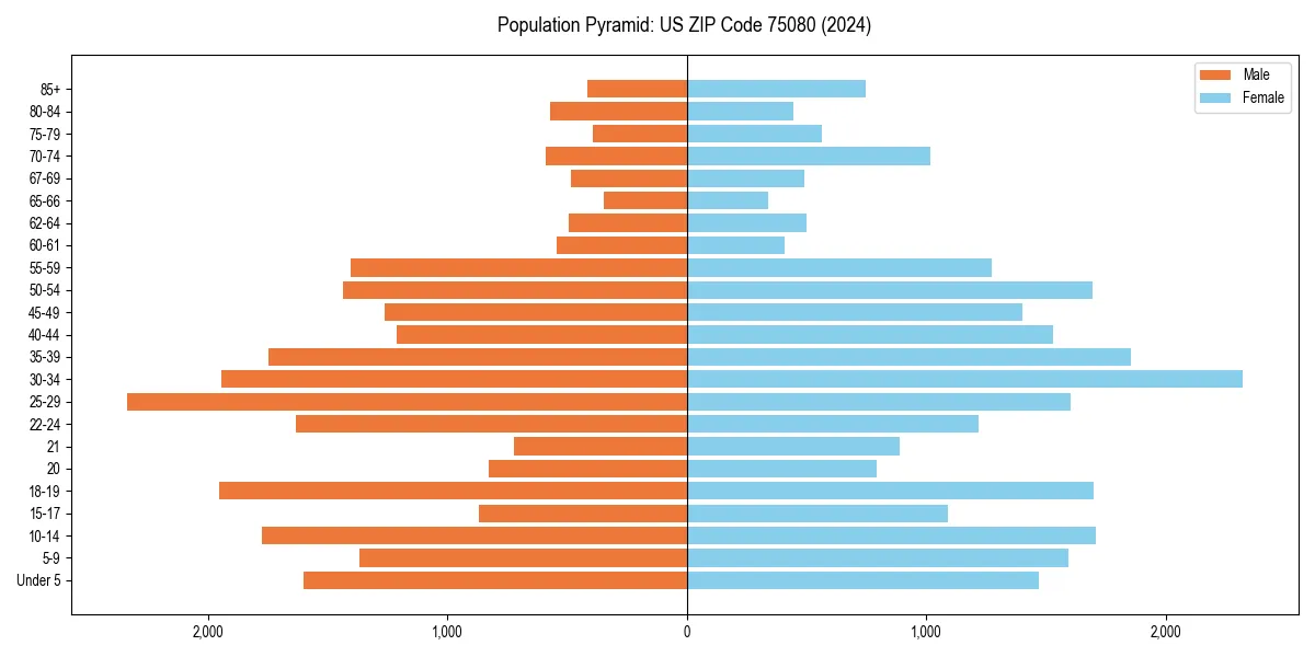 Population pyramid for 