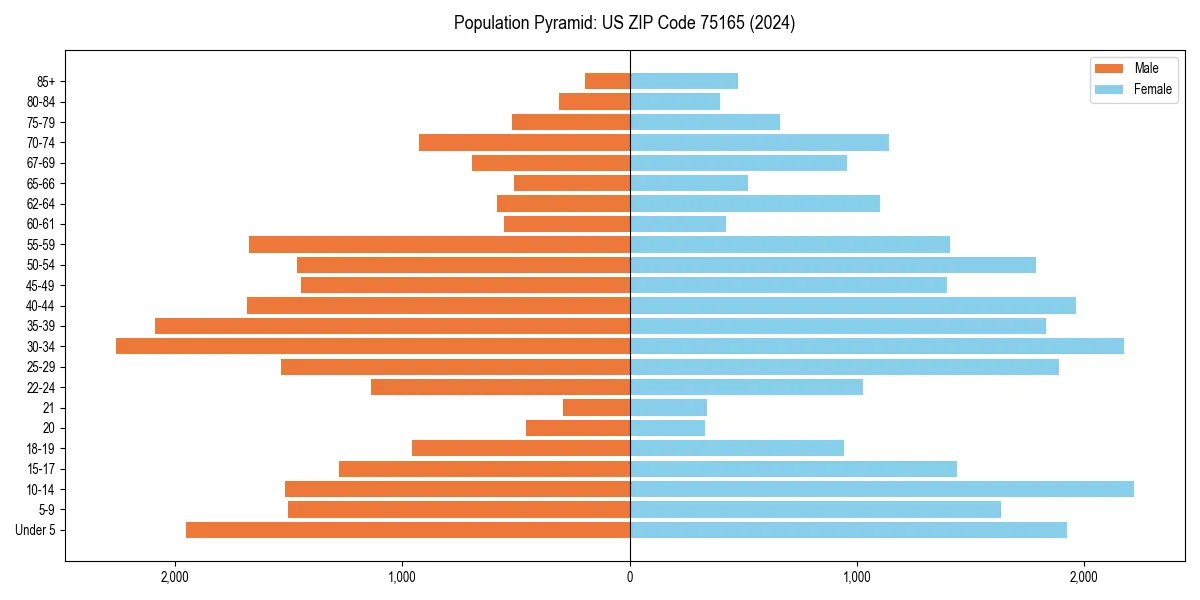 Population pyramid for 