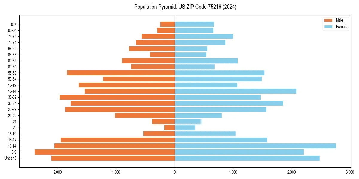 Population pyramid for 
