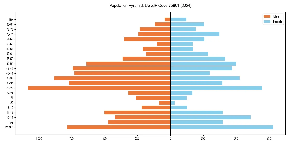 Population pyramid for 