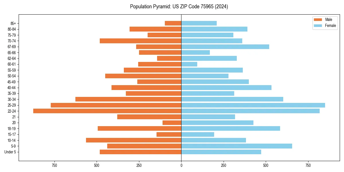 Population pyramid for 
