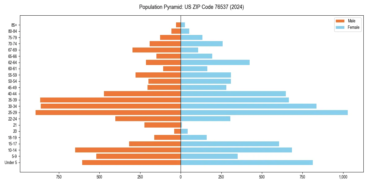 Population pyramid for 