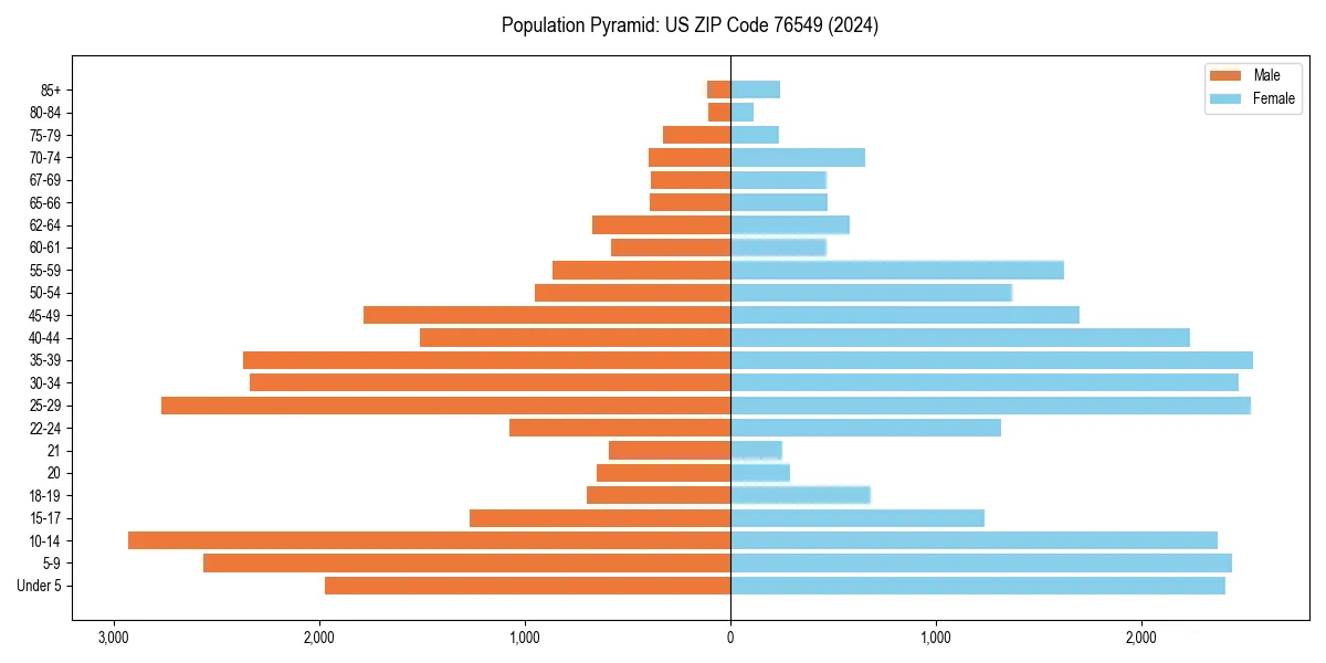 Population pyramid for 