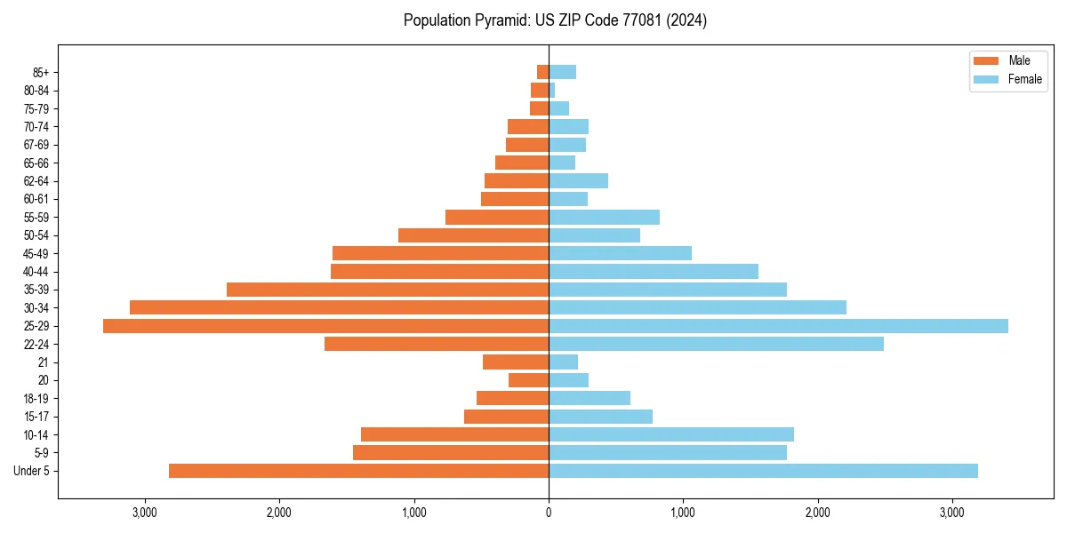Population pyramid for 